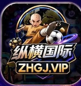 纵横国际